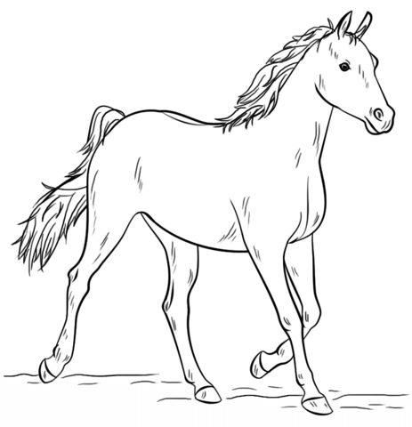2 dessins de chevaux simples