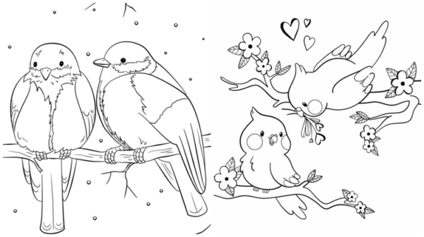 17 coloriages de couples d'oiseaux