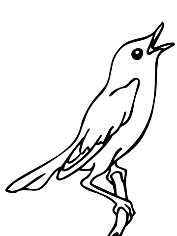 31 dessin gratuit d'un oiseau chanteur