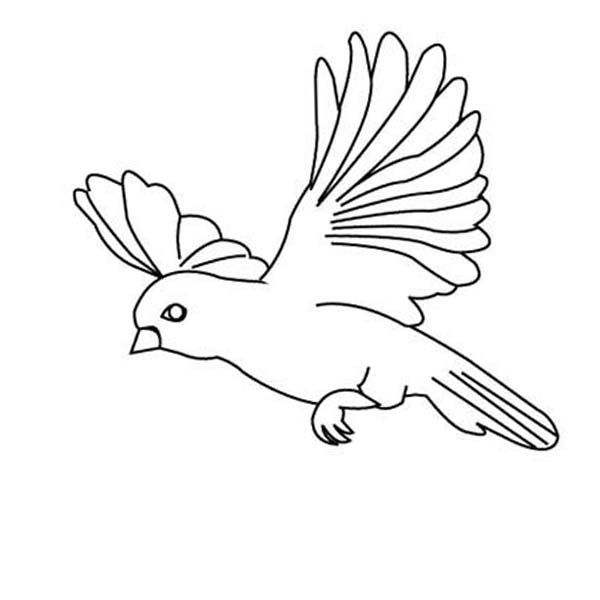 40 dessins simples d'un oiseau qui vole