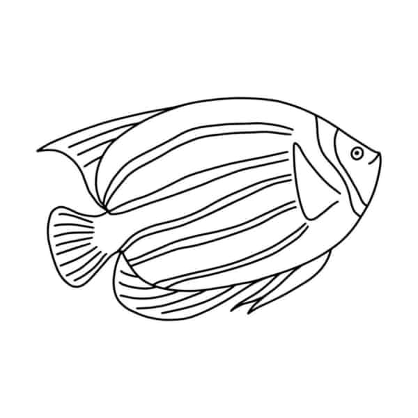 6 dessins de poissons à colorier