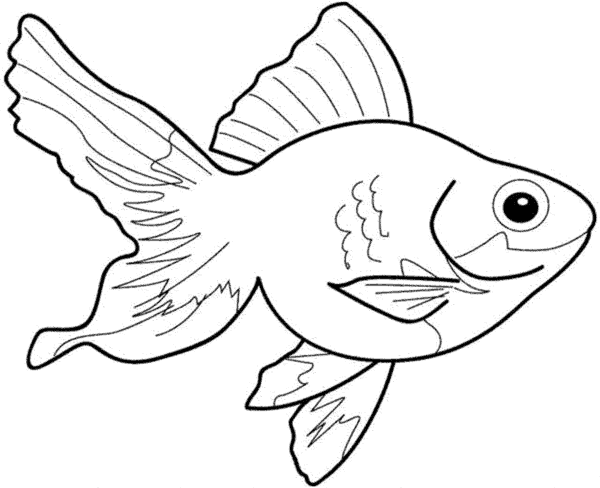 10 dessins de poisson gratuits