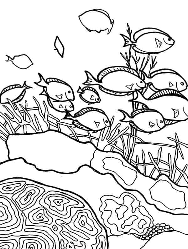 18 activités de coloriage du banc de poissons