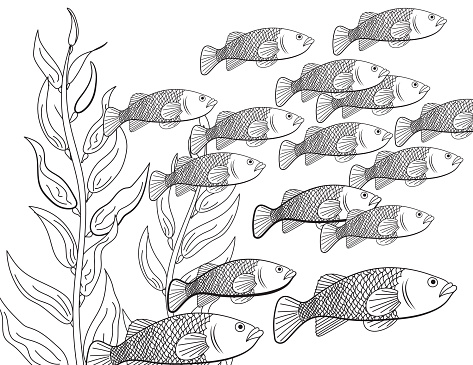 23 dessin gratuit d'école de poisson