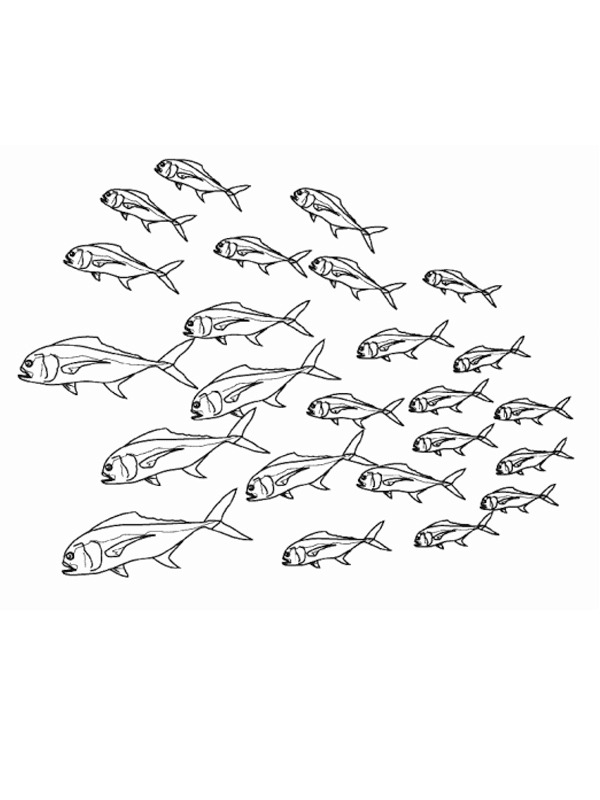 27 coloriages de banc de poissons