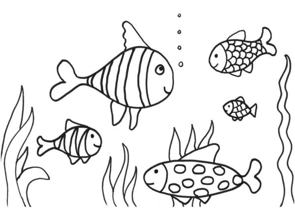 Coloriage 33 poissons nageurs simples