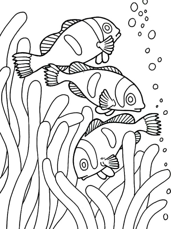 38 activités poissons nageurs à colorier