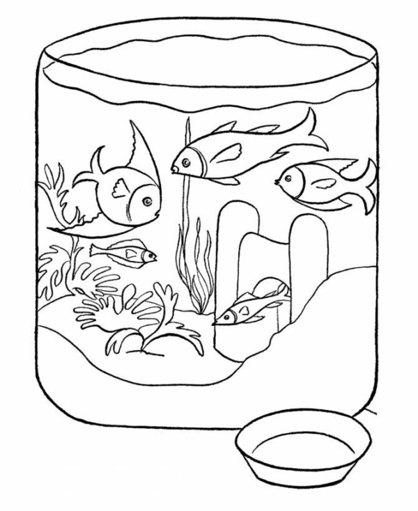 52 aquarium avec petits poissons à peindre
