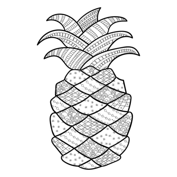 28 dessins d'ananas avec des détails à peindre