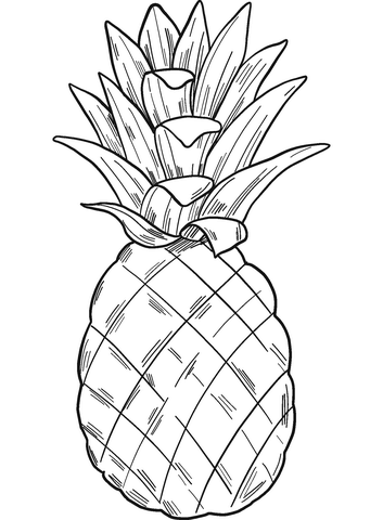 27 coloriages d'ananas