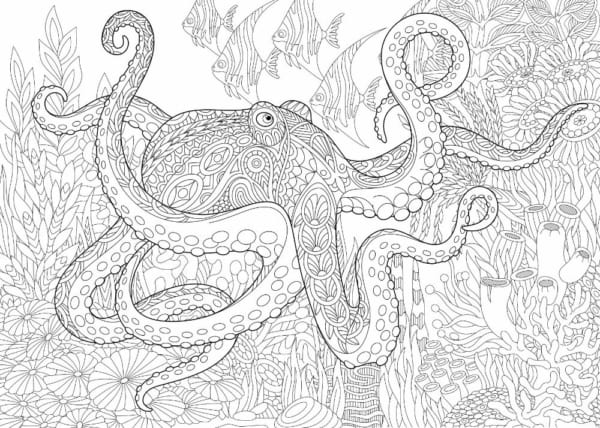 6 dessins avec détails des fonds marins à colorier