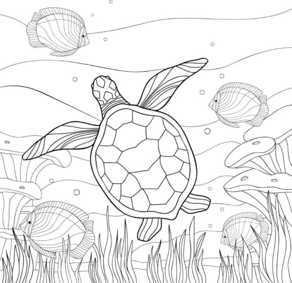 11 coloriages des fonds marins avec des tortues