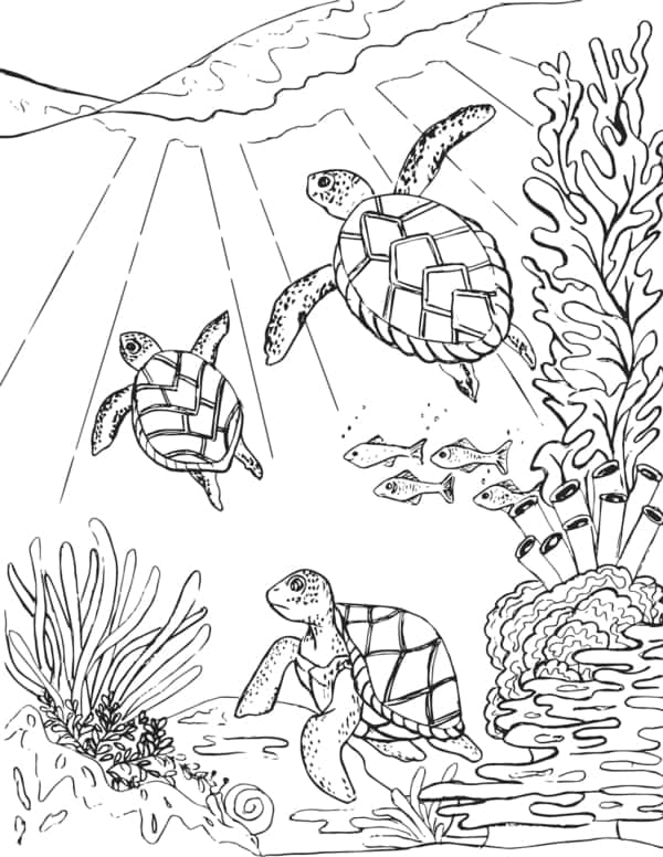 29 activités pour peindre avec des tortues marines