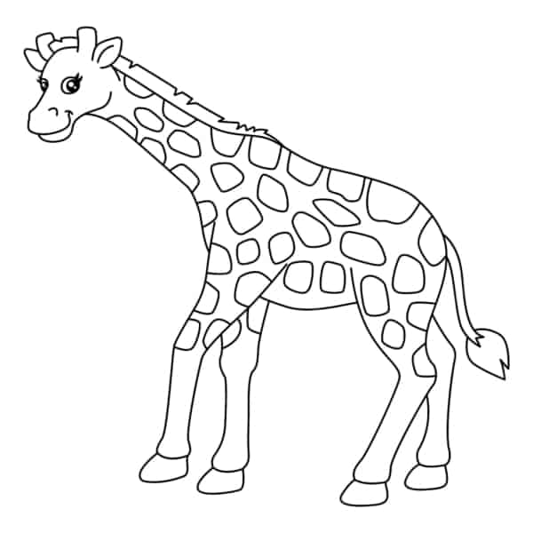 Activité 2 girafes à imprimer et colorier
