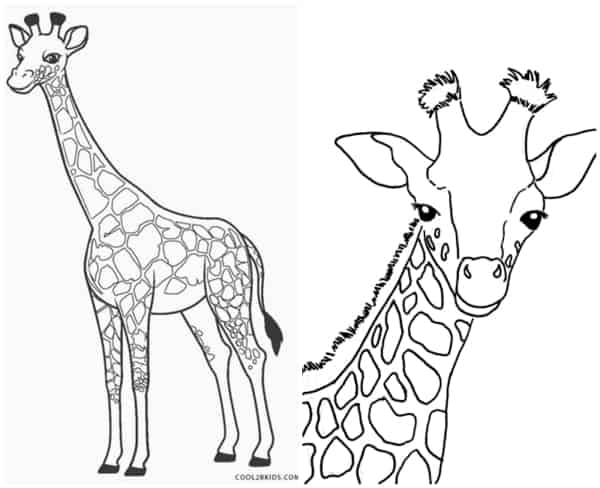 13 coloriages simples de girafes