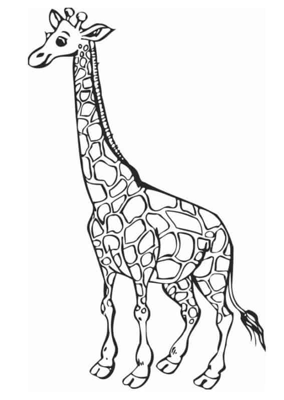 12 activités girafe à colorier
