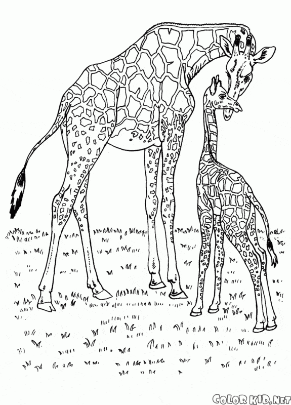 16 activités pour peindre une girafe avec un bébé