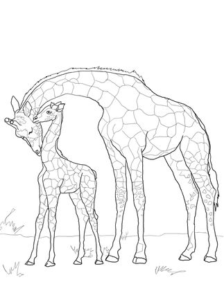 23 activités de coloriage girafe avec bébé
