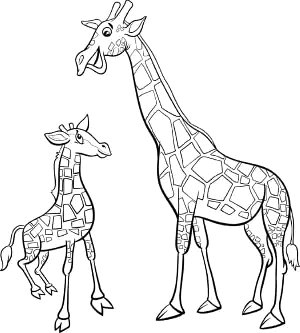 19 activité girafe avec bébé