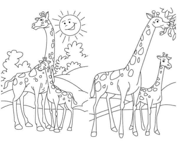 26 coloriages de girafes avec des bébés