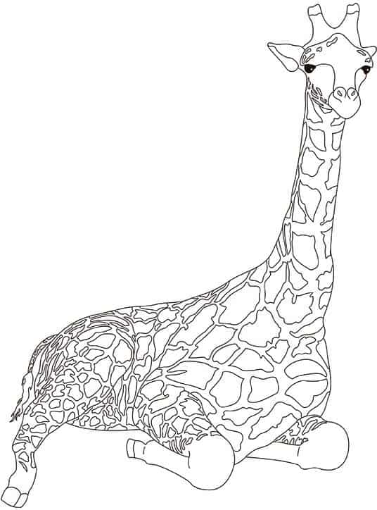 36 activité girafe assise à imprimer et colorier