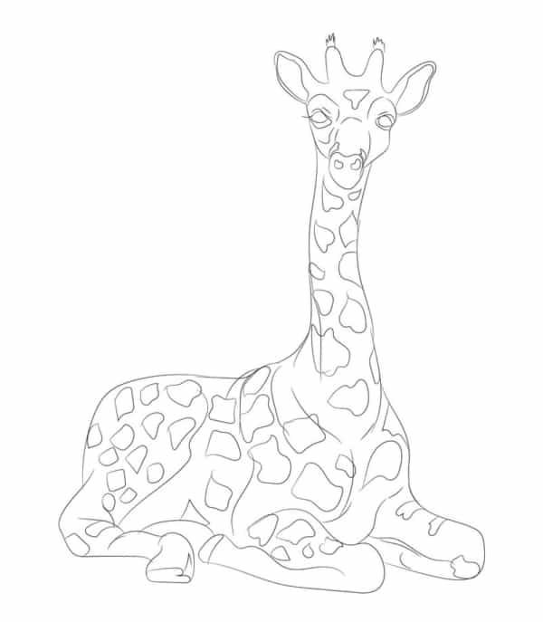 Coloriage 39 girafe assise