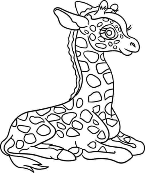 Coloriage 33 girafe assise