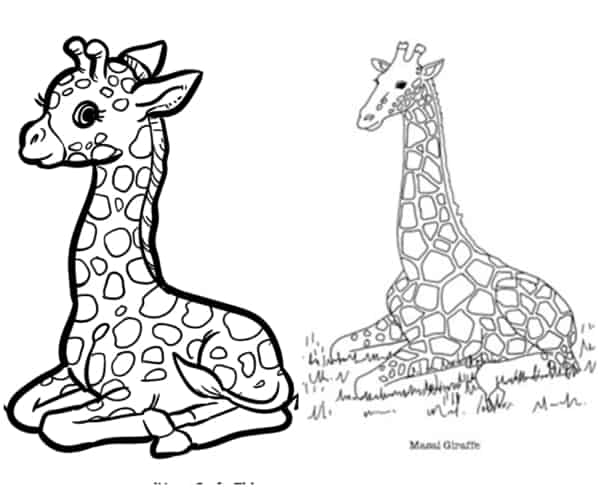 40 coloriages de girafes assises