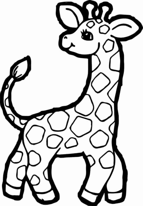 41 dessin de girafe mignon