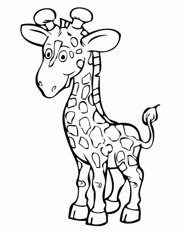 54 activités de coloriage mignonnes