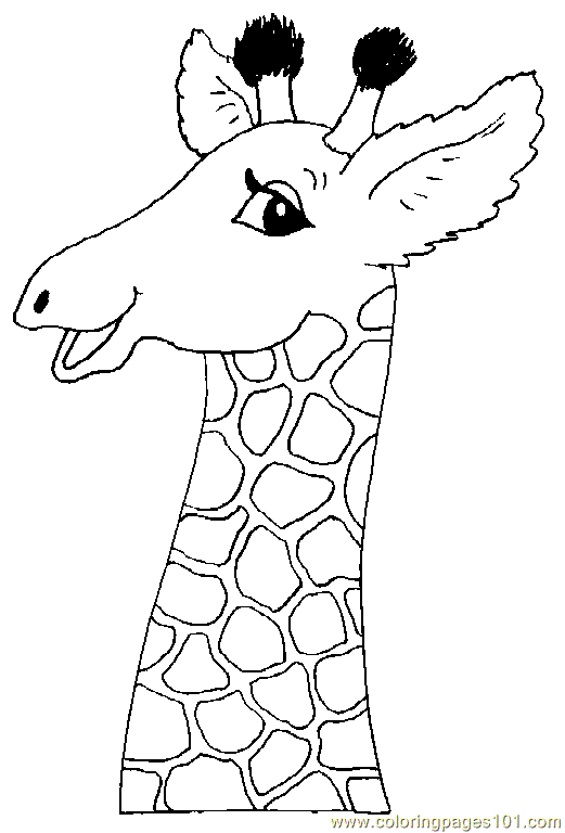 10 activités pour peindre une girafe