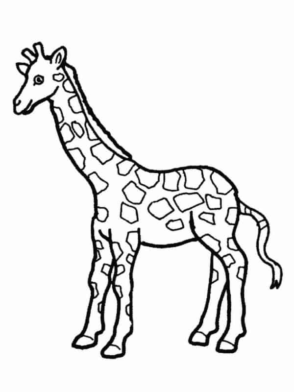 1 dessin simple de girafe imprimable