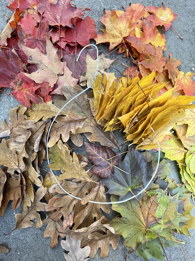 Faites une simple couronne de feuilles arc-en-ciel à l'aide d'un cintre métallique. 