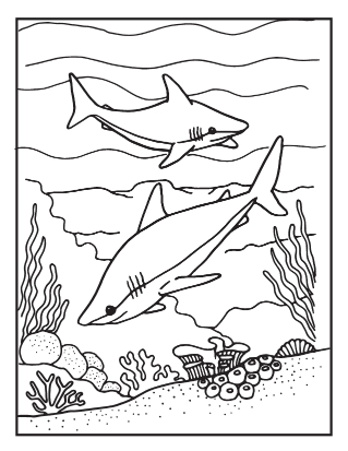 requin à colorier