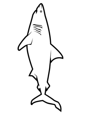 coloriage requin blanc 6