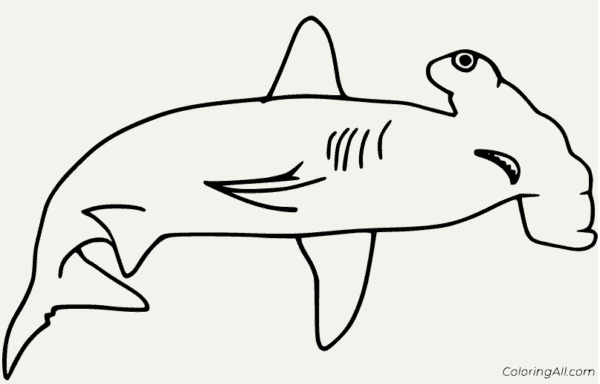 Coloriage requin marteau 11