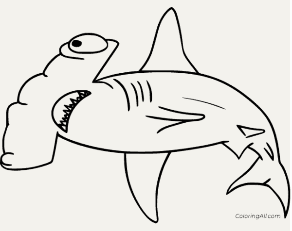 Coloriage requin marteau 15