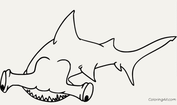 Coloriage requin marteau 13