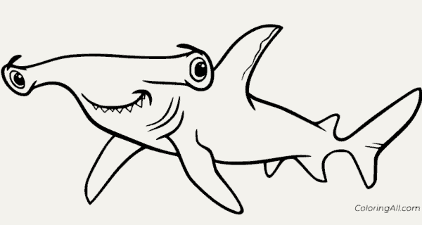 Coloriage requin marteau 14