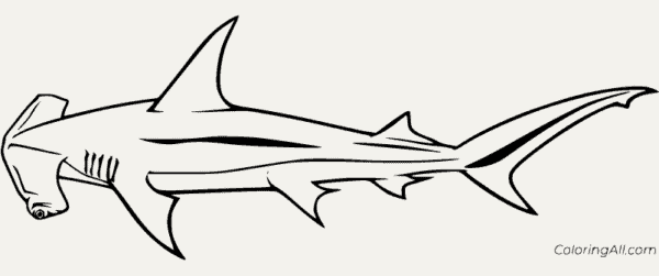 Coloriage requin marteau 12