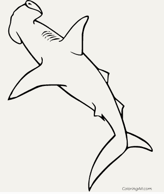 Coloriage requin marteau 8