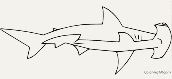 Coloriage requin marteau 5