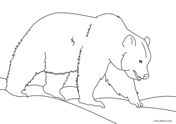 6 dessins d'ours à peindre Cool2bKids