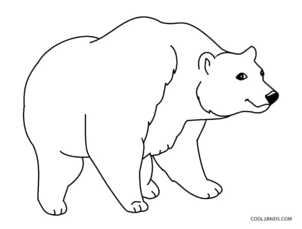 8 coloriages d'ours simples Cool2bKids