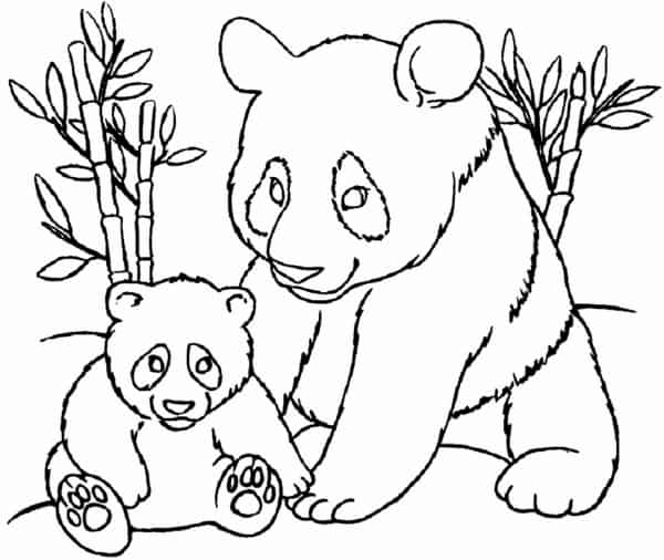 9 dessin d'ours panda avec ourson à colorier Just Color