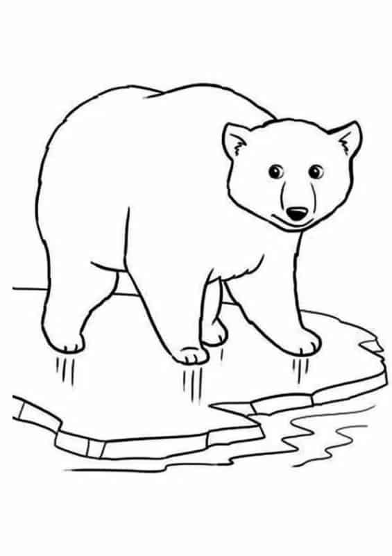 18 coloriages d'un ours polaire sur Pinterest