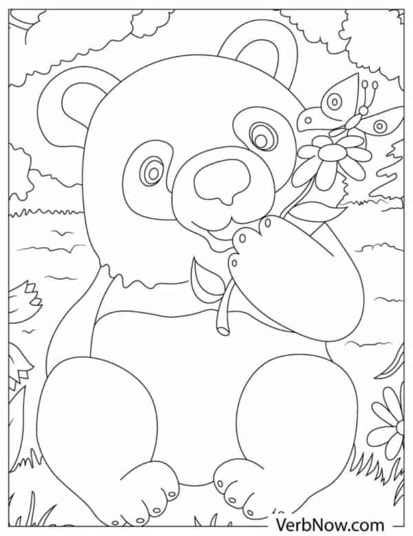 15 activité ours panda à peindre VerbNow