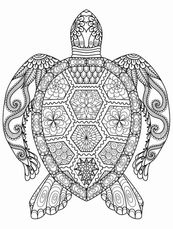20 mandalas de tortues à colorier pour Pinterest