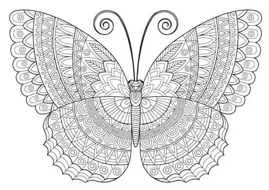 19 pages à colorier de mandala papillon Styles à la vie