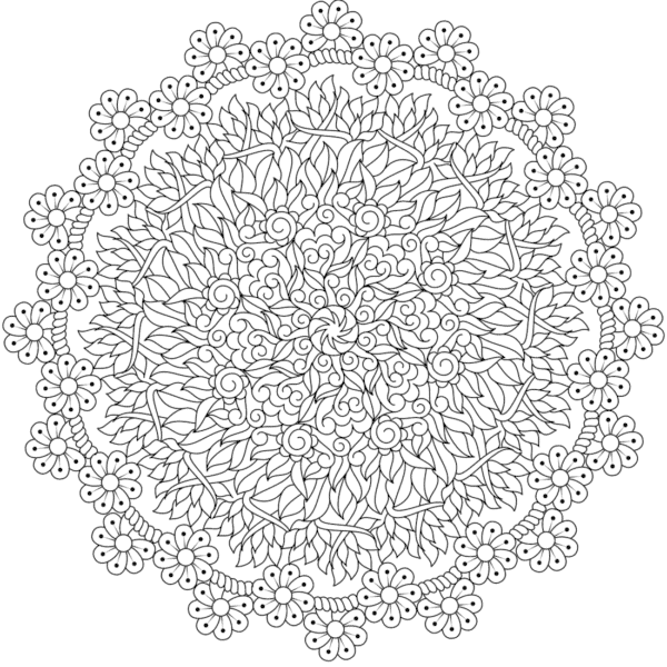 36 grands mandalas avec détails à colorier Monday Mandala